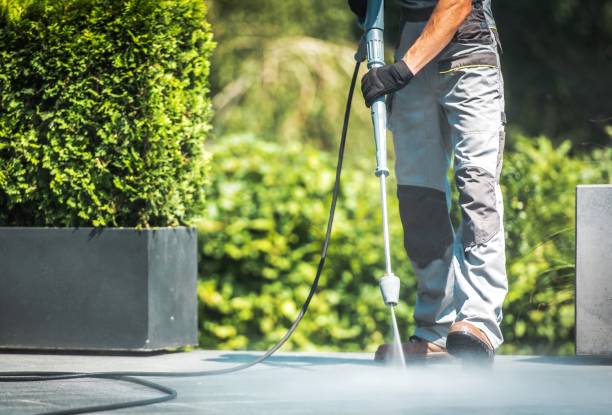 Best Solar Panel Cleaning  in Woodruff, SC